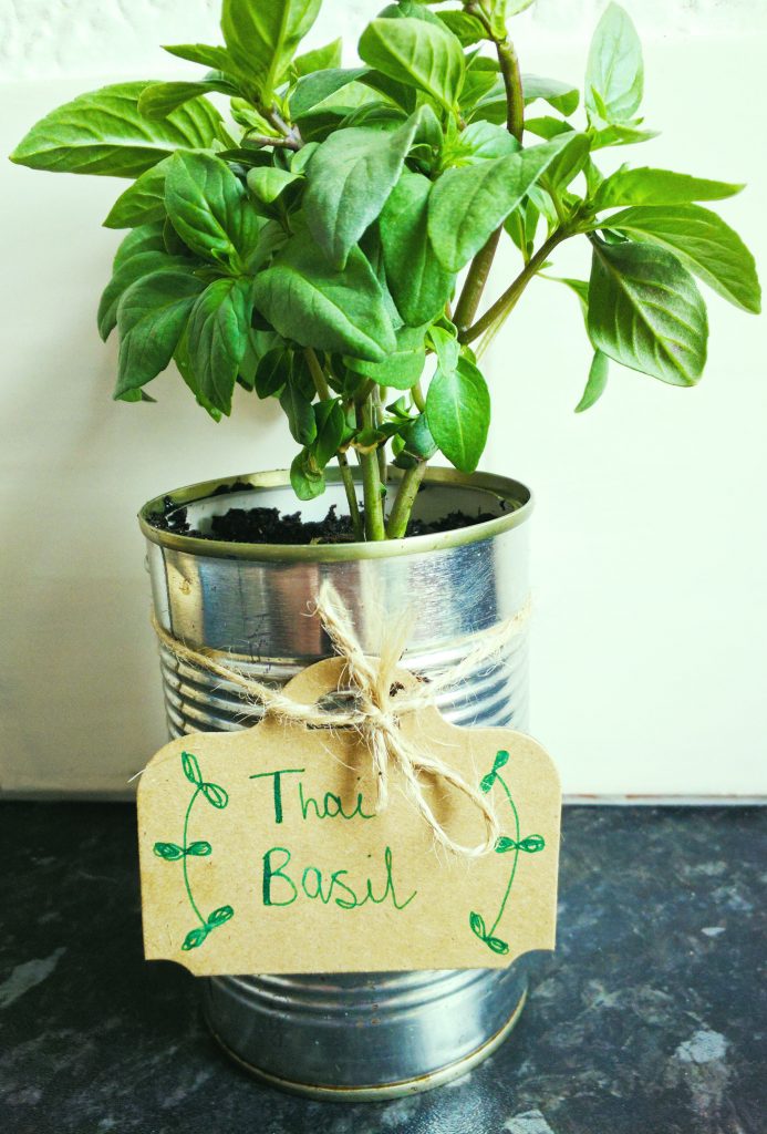 recycled herb plant pots