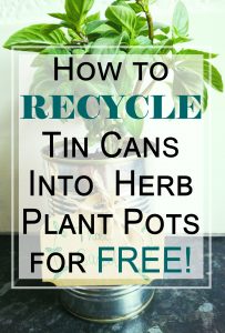 How to recycle tin cans into herb plant pots